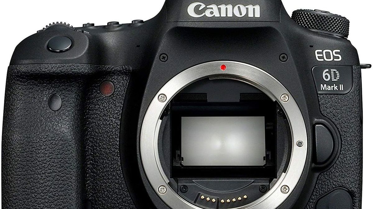 Comparatif appareil photo reflex : le classement