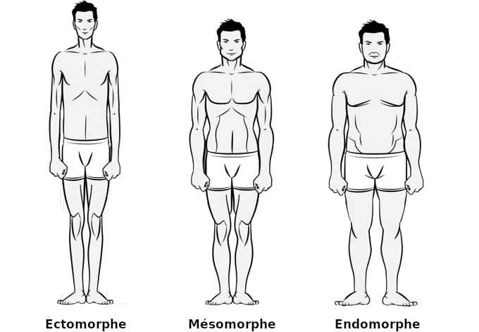 type physique musculation