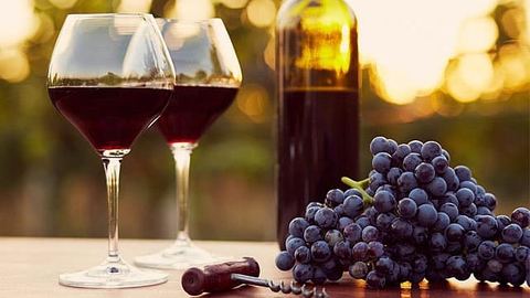 Les vins en primeurs : qu'est-ce que c'est ?