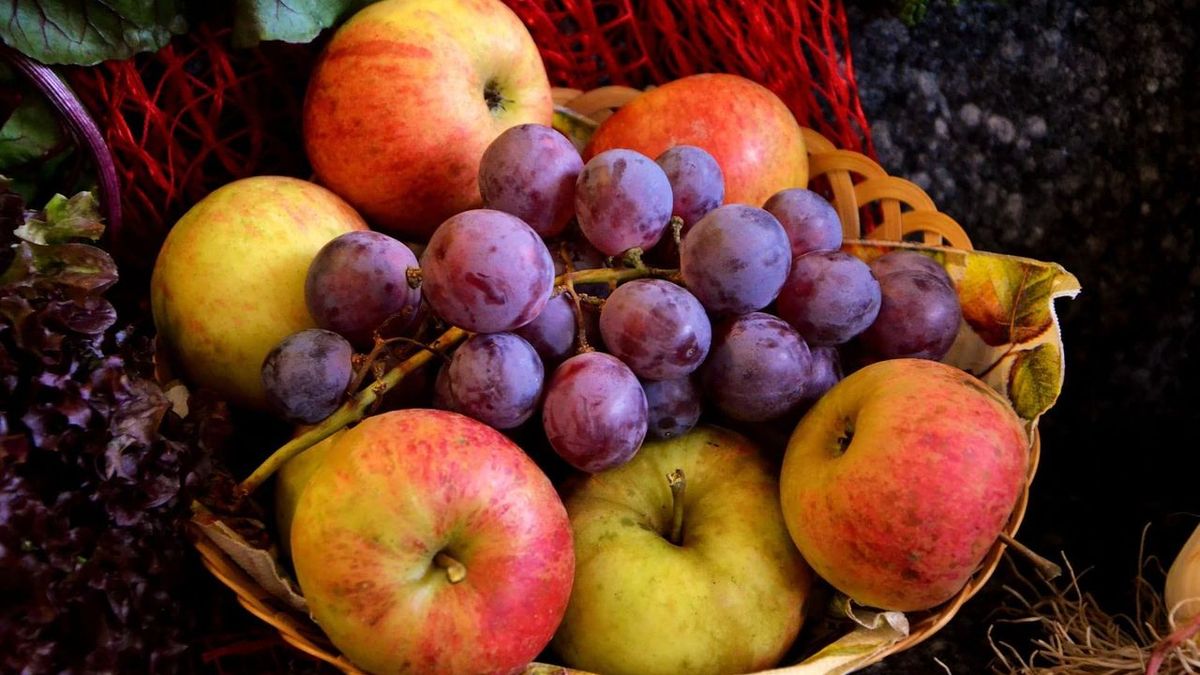 Livraison de fruits en entreprise : une alimentation équilibrée garantie !