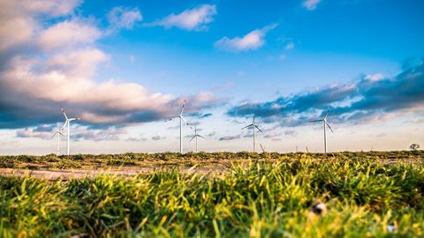 Todo lo que necesitas saber sobre la energía verde