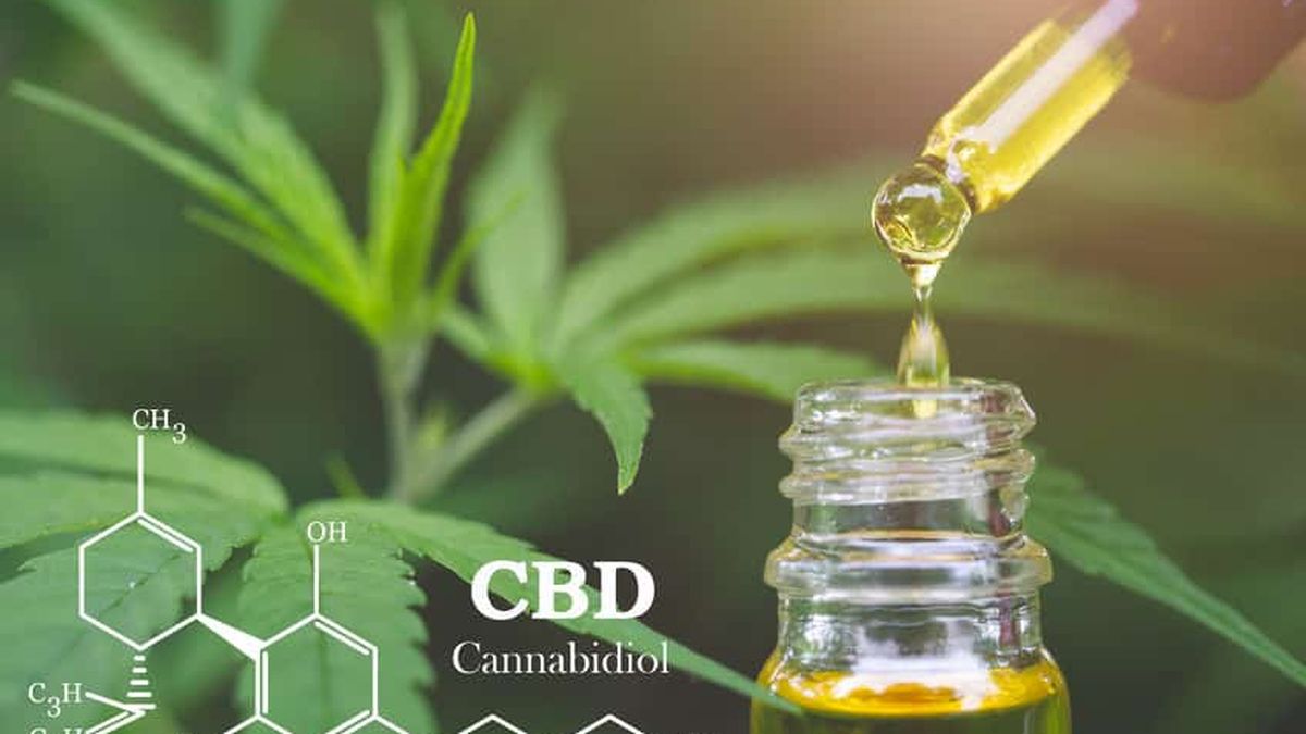 Le cannabidiol : quelles sont les raisons de sa popularité ?