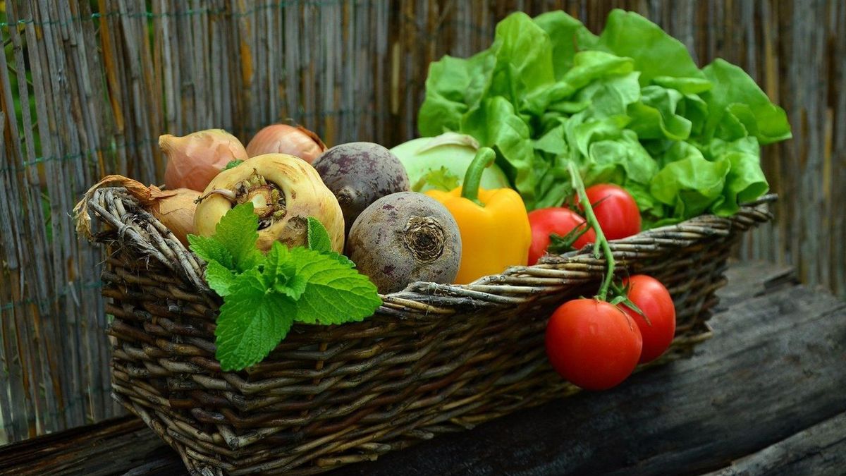 Tout savoir sur les super aliments