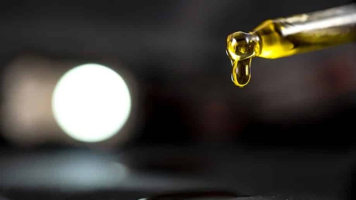 Cannabis thérapeutique : un nouveau médicament pour traiter l'épilepsie ?