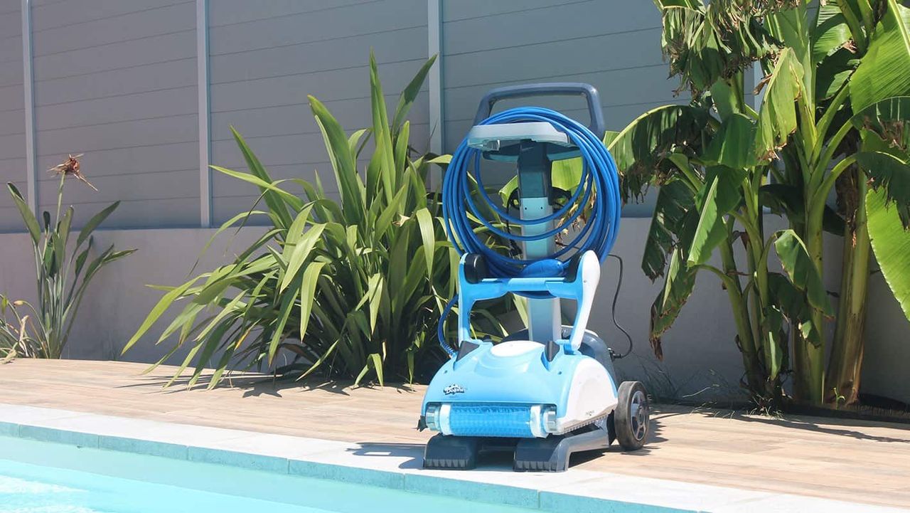 Classic Line des robots Dolphin