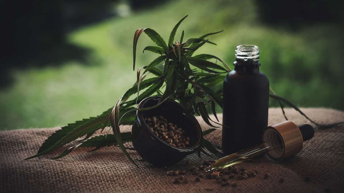 Consumption of CBD flowers and resin