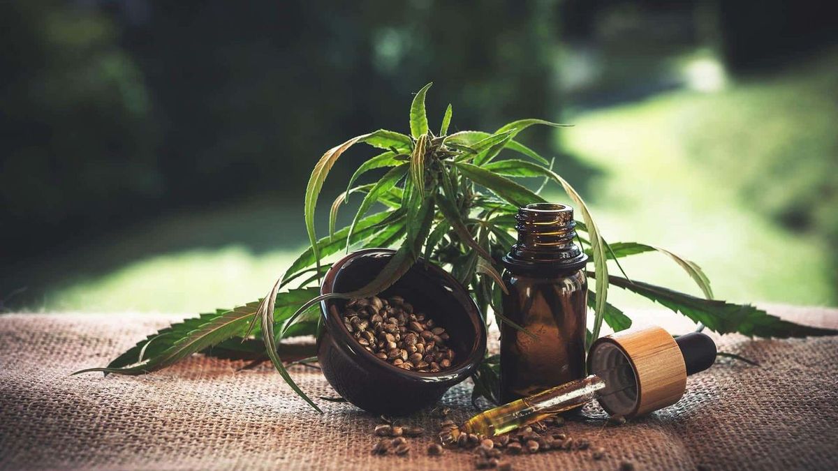 Quels sont les bienfaits de l'huile de CBD ?