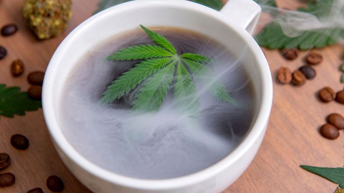 Les bienfaits des tisanes et infusions de CBD