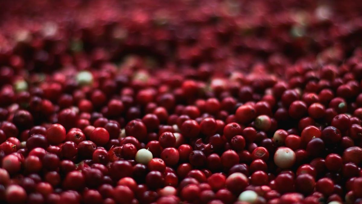 Quel jus de Cranberry choisir ?