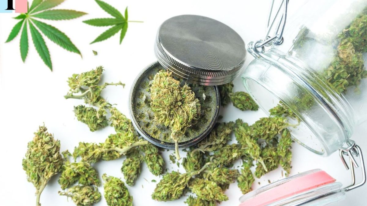 Consommer du CBD : huile, e-liquide, infusion ou produit de soin au CBD ?