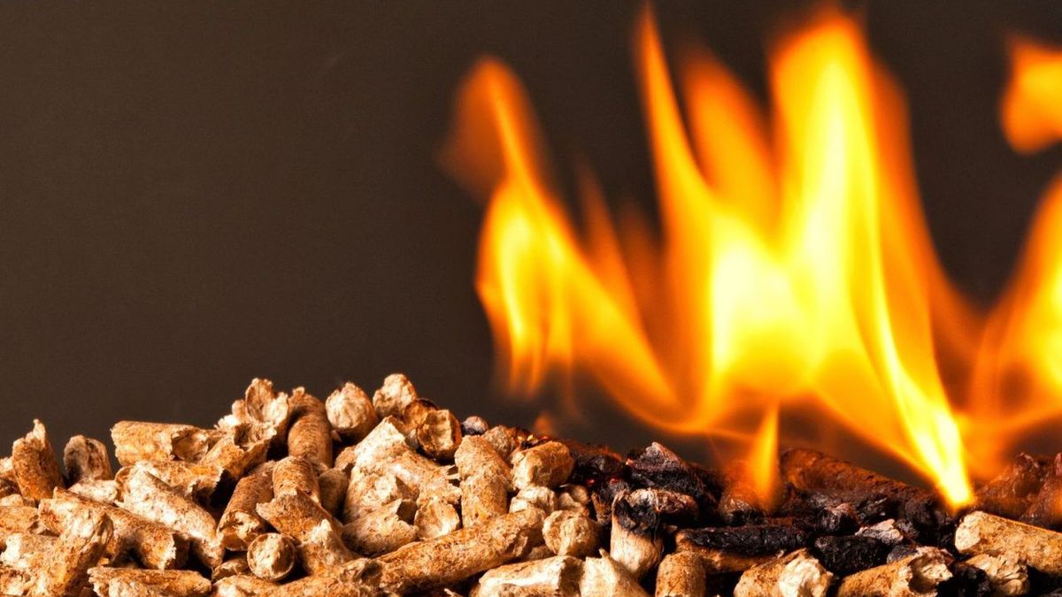 Les pellets de bois, le combustible le plus pratique pour votre chauffage