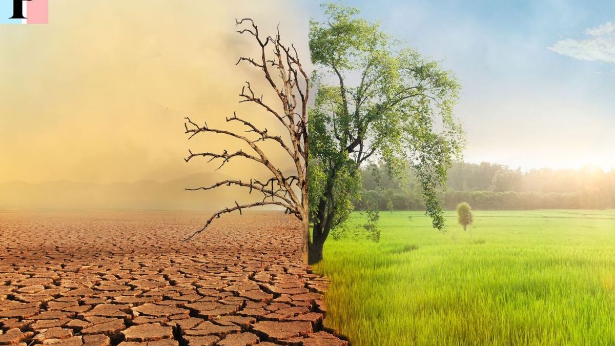 Les risques potentiels du changement climatique