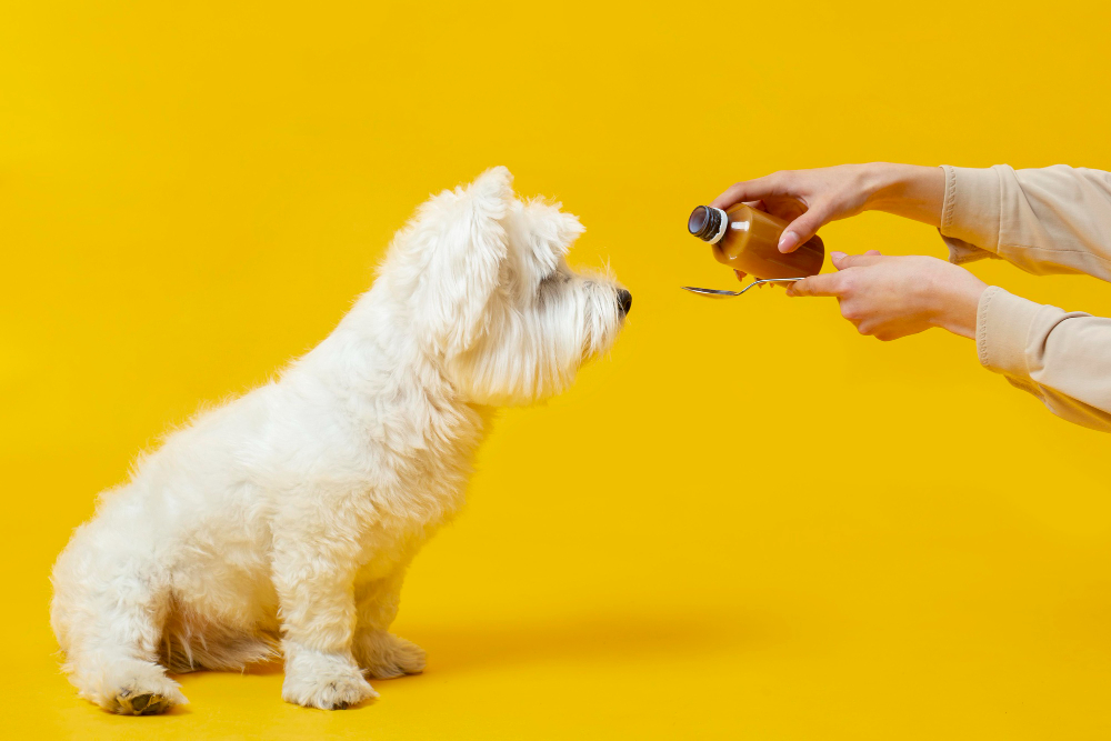 cbd pour chien