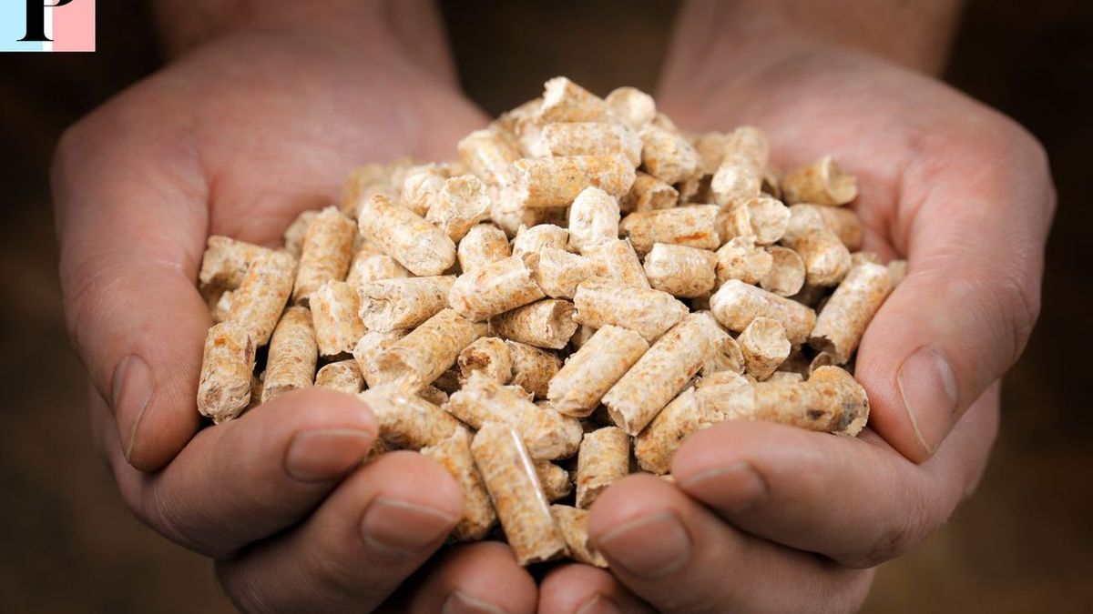 Machine à pellets : 9 avantages que vous ne connaissiez pas