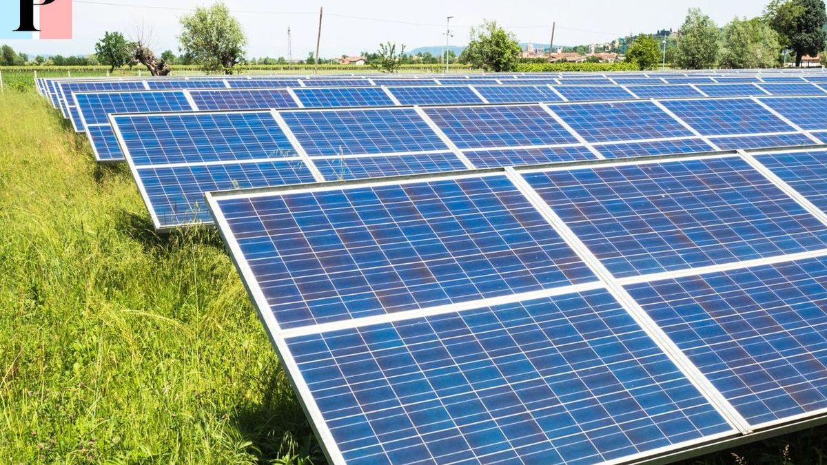 Les panneaux solaires photovoltaïques en France : prix, installation et financement pour les particuliers