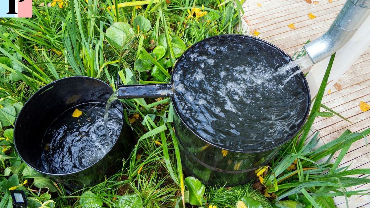 Guide complet du récupérateur d'eau de pluie : économie, installation et modèles disponibles