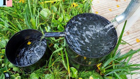 Guide complet du récupérateur d'eau de pluie : économie, installation et modèles disponibles