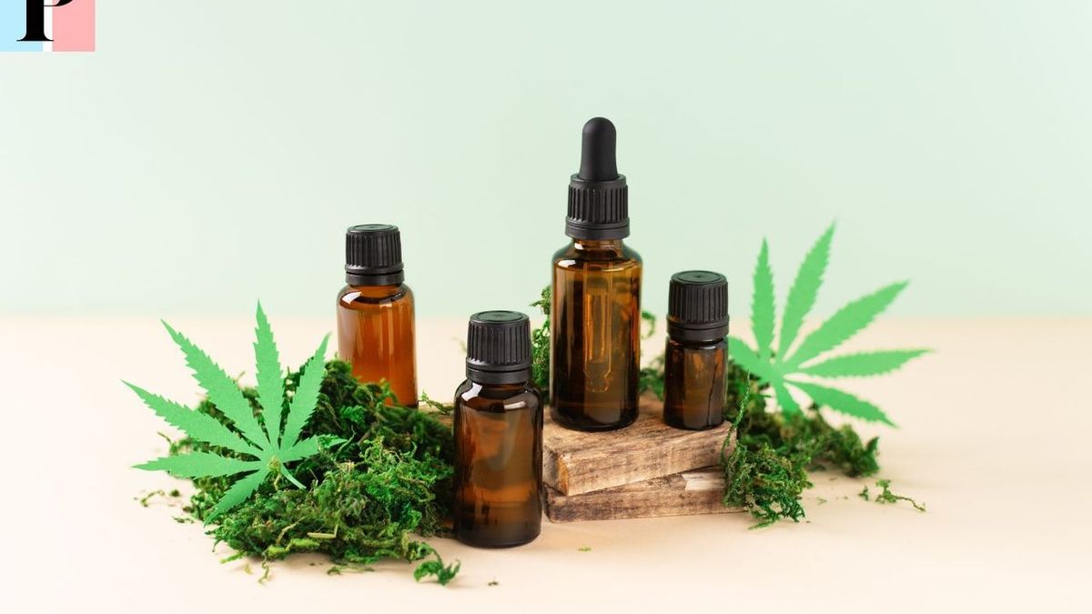 Le CBD comme option pour lutter contre l'épilepsie : études, bienfaits et recommandations