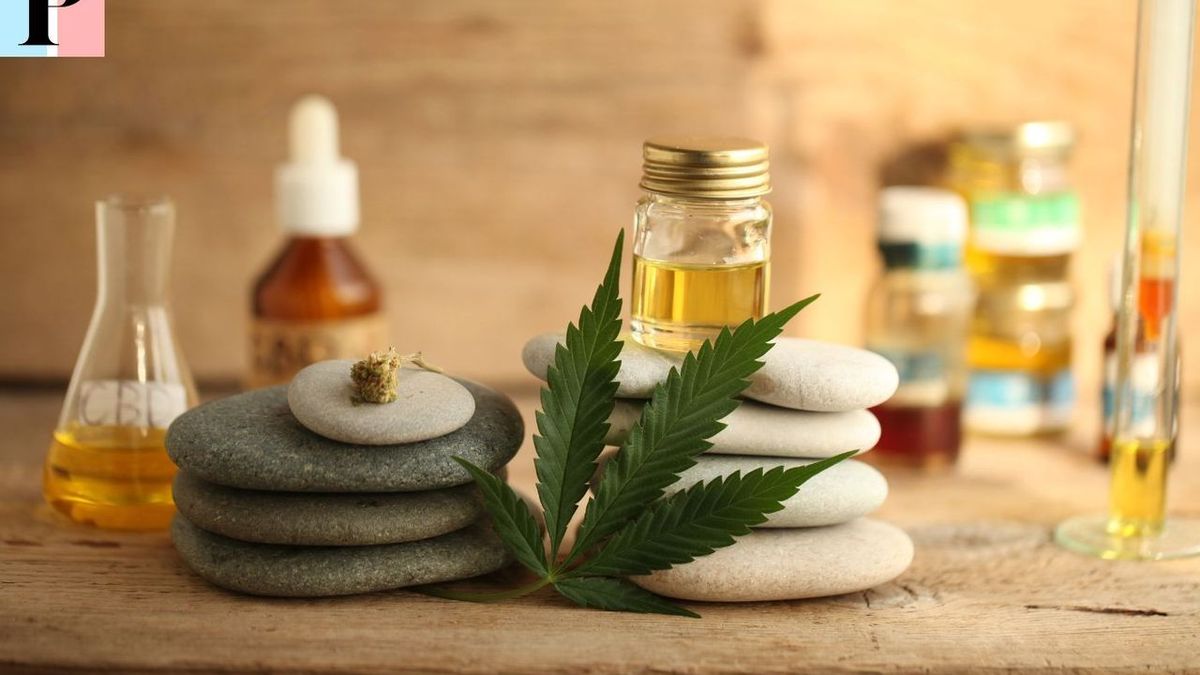 Les avantages de l'huile de CBD : bienfaits, choix et précautions à prendre