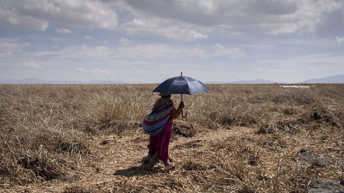 Un printemps d'une chaleur historique accable les habitants d'Amérique du Sud