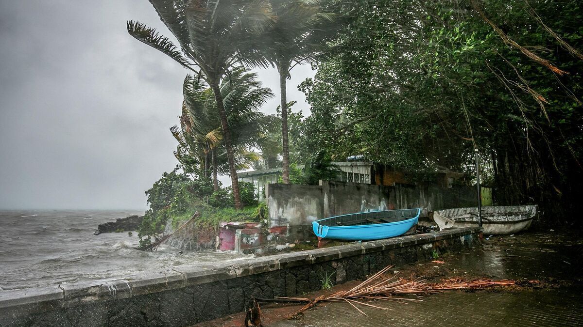 Cyclone Belal à La Réunion : estimation des dommages à 100 millions d'euros