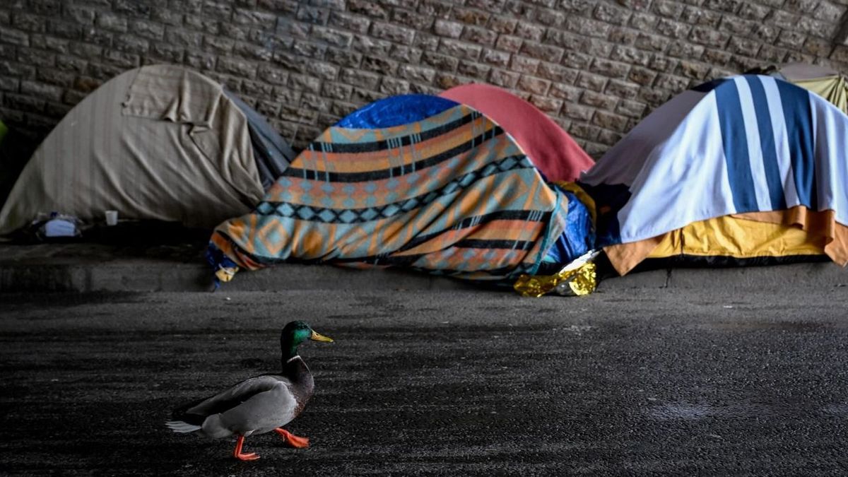 L'évacuation de 400 migrants sur les quais de Seine à Paris suscite l'indignation des associations