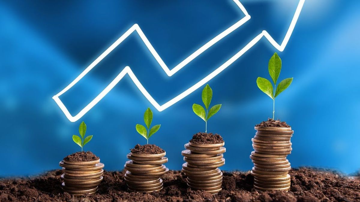 Placements financiers : quels sont les meilleurs ?