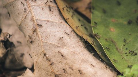 Comment ouvrir un compte sur la plateforme ANTS