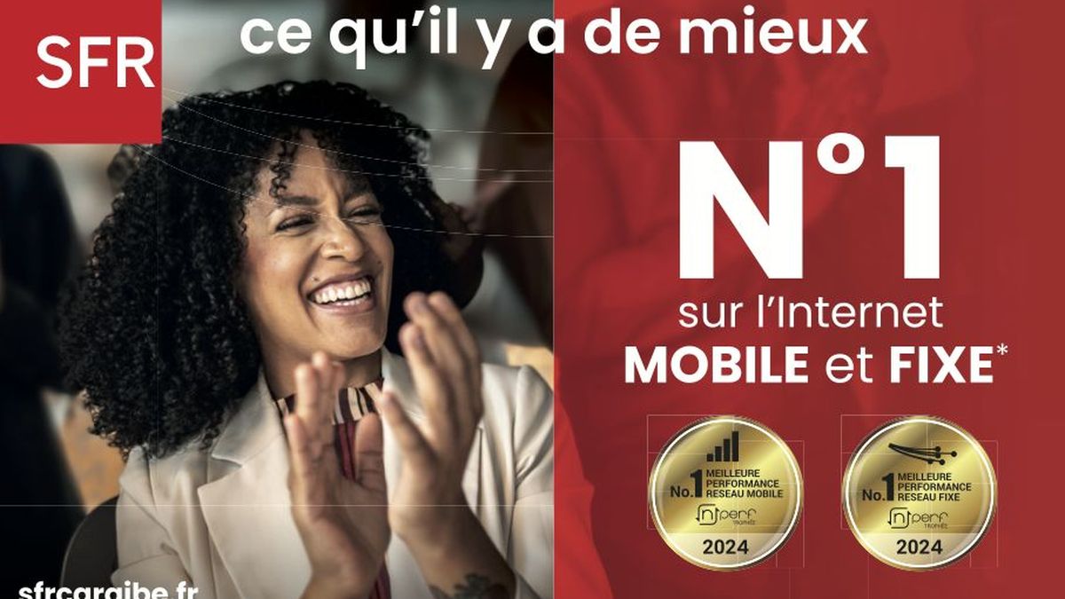SFR - Télécoms c'est quoi en France en 2024 ?