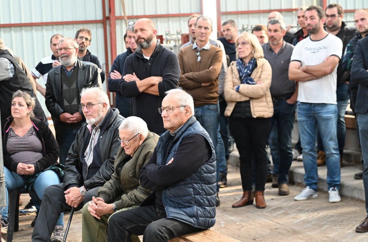 découvrez le rôle crucial du président de l'alimentation en 2024, ses initiatives pour une alimentation durable, les enjeux environnementaux et les politiques alimentaires qui façonneront notre avenir. restez informés sur les décisions qui impactent notre santé et notre planète.