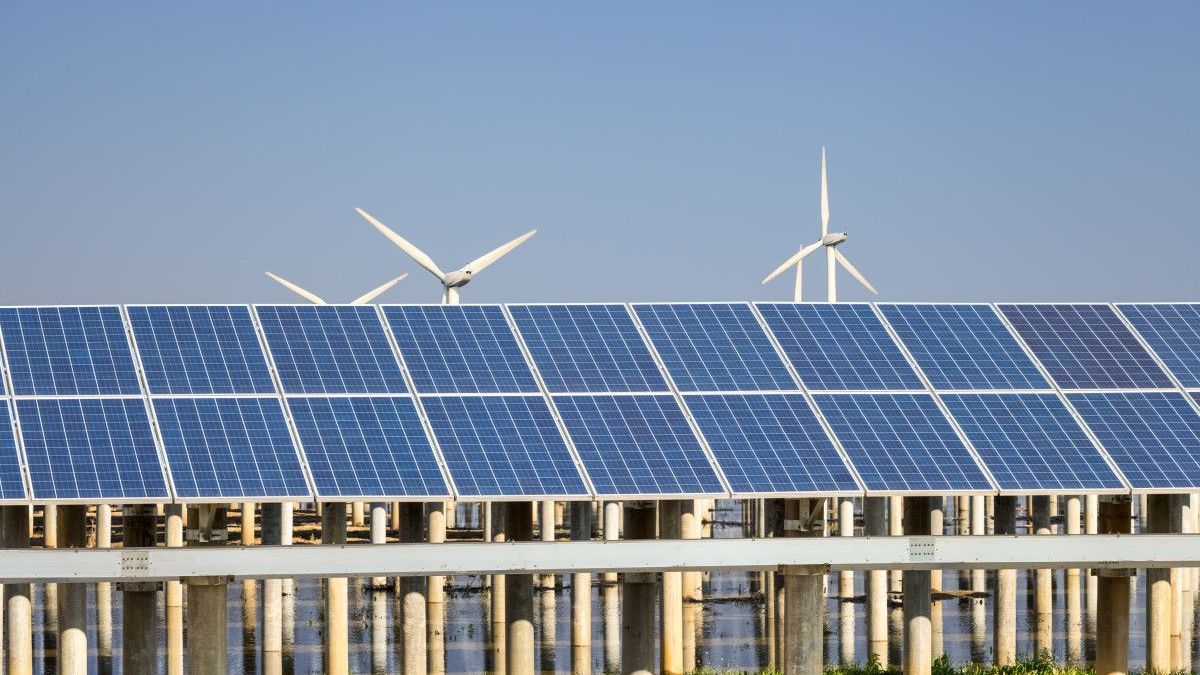 Transition écologique : pourquoi la France doit miser sur les énergies vertes pour 2025 ?