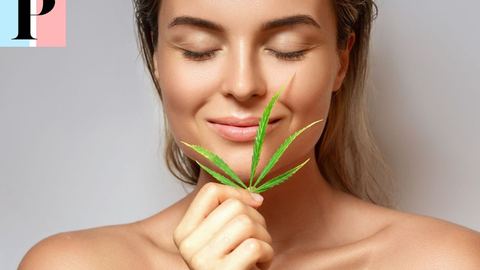 L'essor des CBD shops urbains et leur rôle dans la démocratisation du bien-être naturel
