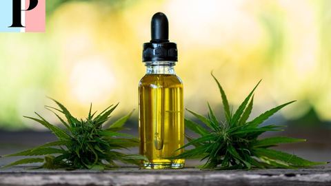 Bien-être et plantes : Pourquoi le CBD séduit autant ?