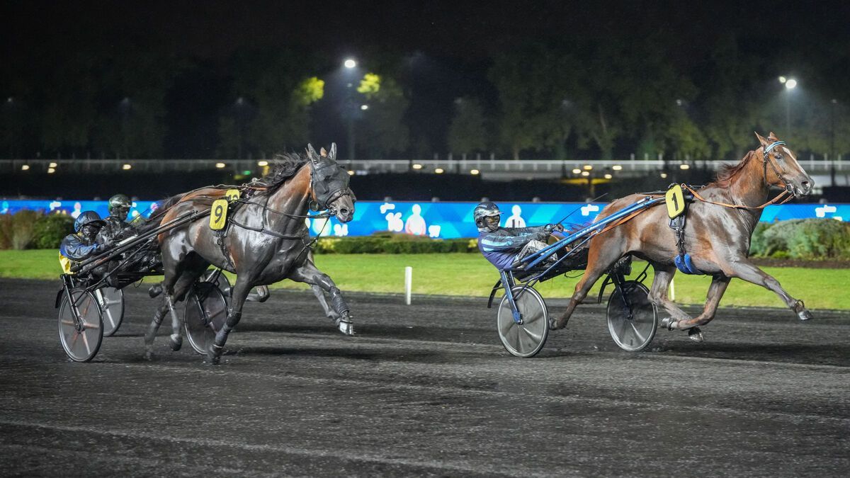 Indice d'Argent remporte la course du quinté du vendredi 3 octobre à Paris-Vincennes.
