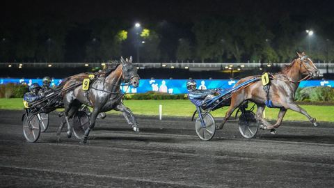 Indice d'Argent remporte la course du quinté du vendredi 3 octobre à Paris-Vincennes.