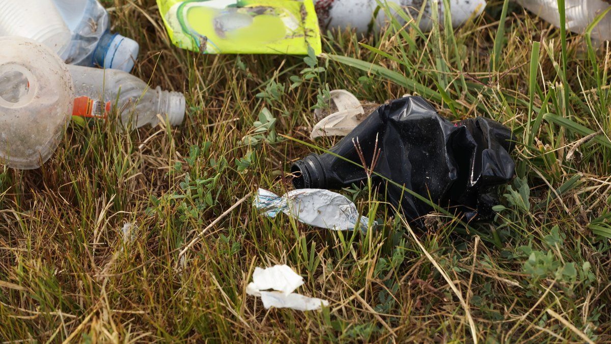 Squatteurs et chaos : chiens drogués, barbecues sauvages, ordures…