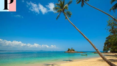 Congés d'été en entreprise : comment anticiper les pics d'absence sans désorganiser vos équipes ?