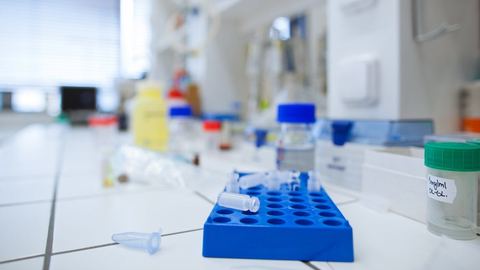 Dépistage génétique préconceptionnel : quels tests remboursés pour les futurs parents ?