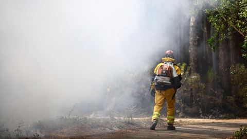 France : votes contre la lutte anti-incendies ?