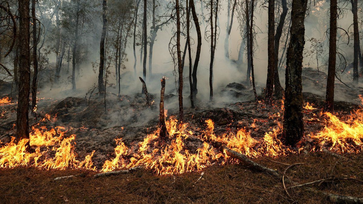 Revue : Incendie en Lozère, une semaine après la canicule et le premier feu de 150 hectares