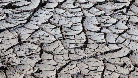 Chaleur record en France : juillet 2026 atteint 24,9 °C, canicule, sécheresse, incendies.