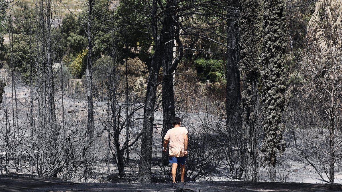 Feu de forêt dans le Var : 6 300 hectares touchés, 41 maisons détruites, enfin "fixé" après 18 jours.