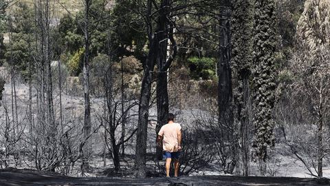 Feu de forêt dans le Var : 6 300 hectares touchés, 41 maisons détruites, enfin "fixé" après 18 jours.